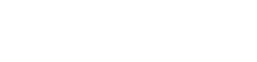 實陽視角,昇陽視野